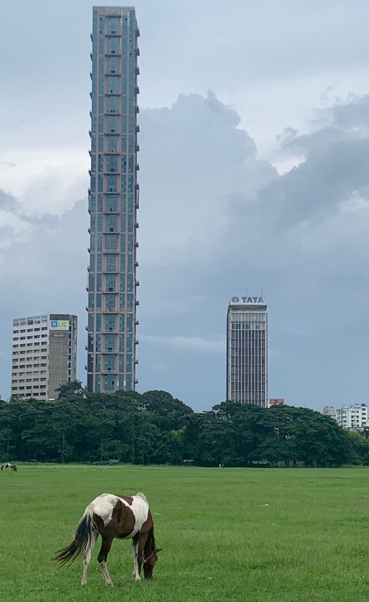 Sayantika tweet media