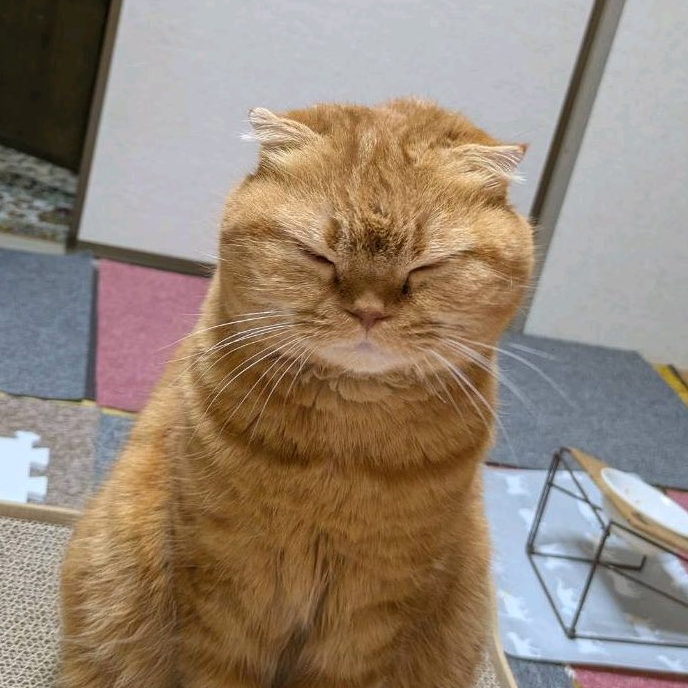 지오🎉 tweet media