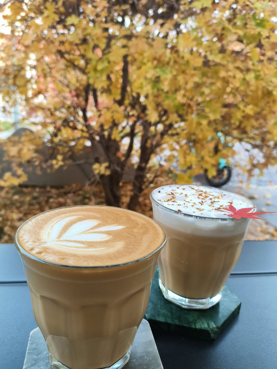 mohammed tweet media