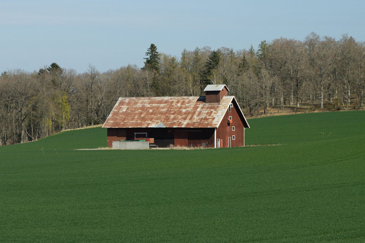 Angel Perez Santa tweet media