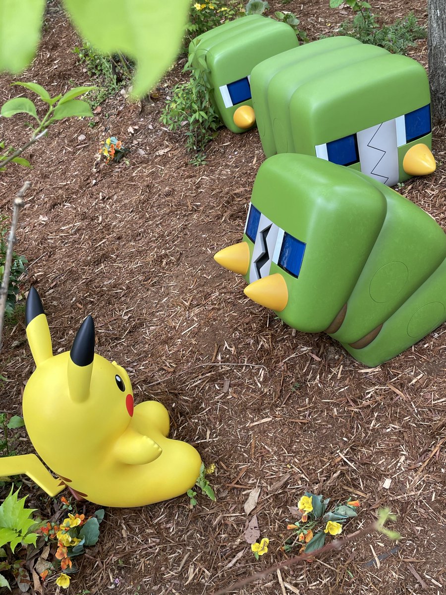 栄美綾香 tweet media