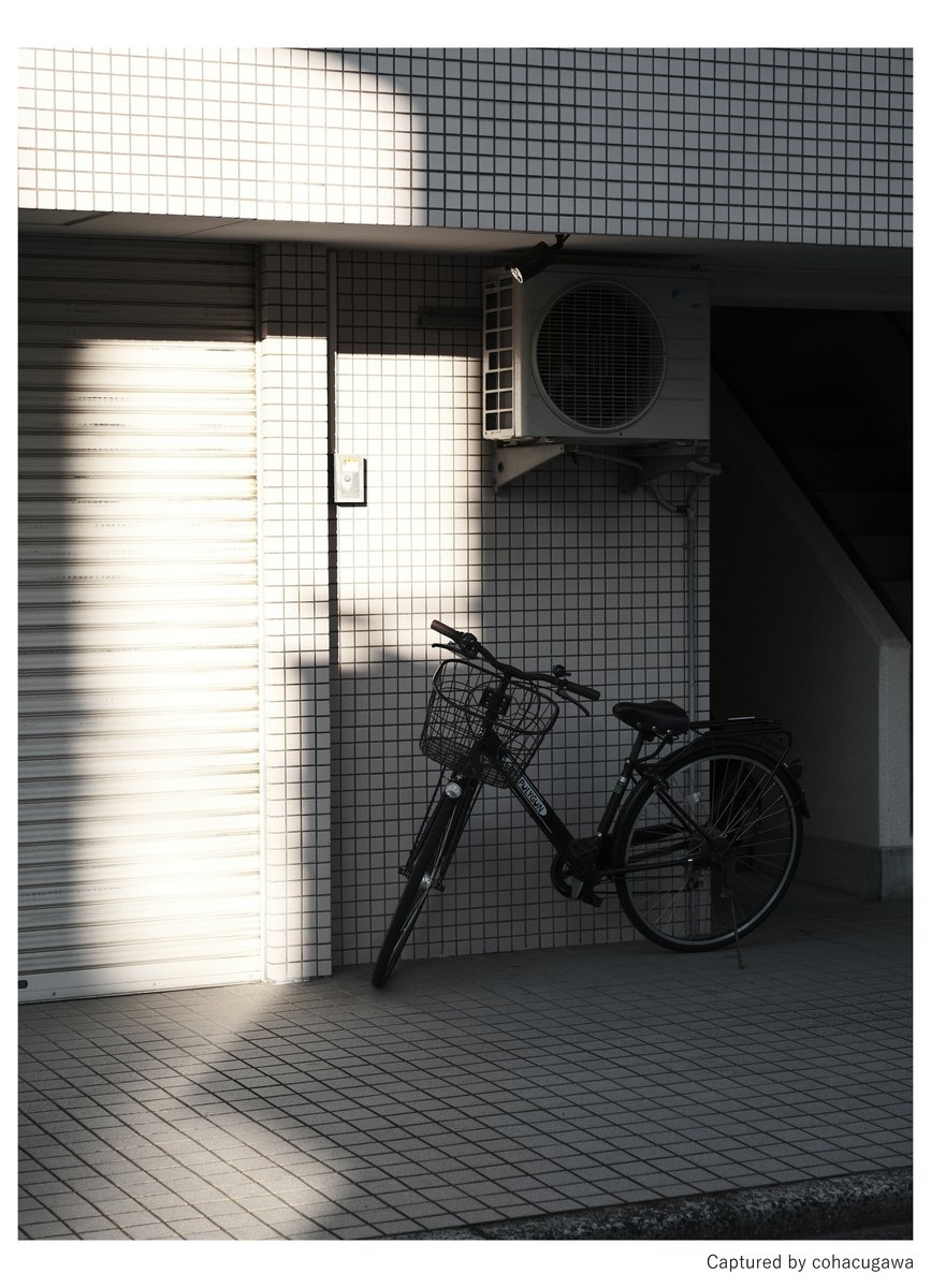 cohacunushi's tweet image. 睦月 : 朝 : 四 ｜ 03

修行2302 ｜ 01.12.2026

X-T5 + XF50mmF2 R WR
F2.8 1/550秒 ISO125 75mm相当

#fujifilm_xseries 
#SnapShot