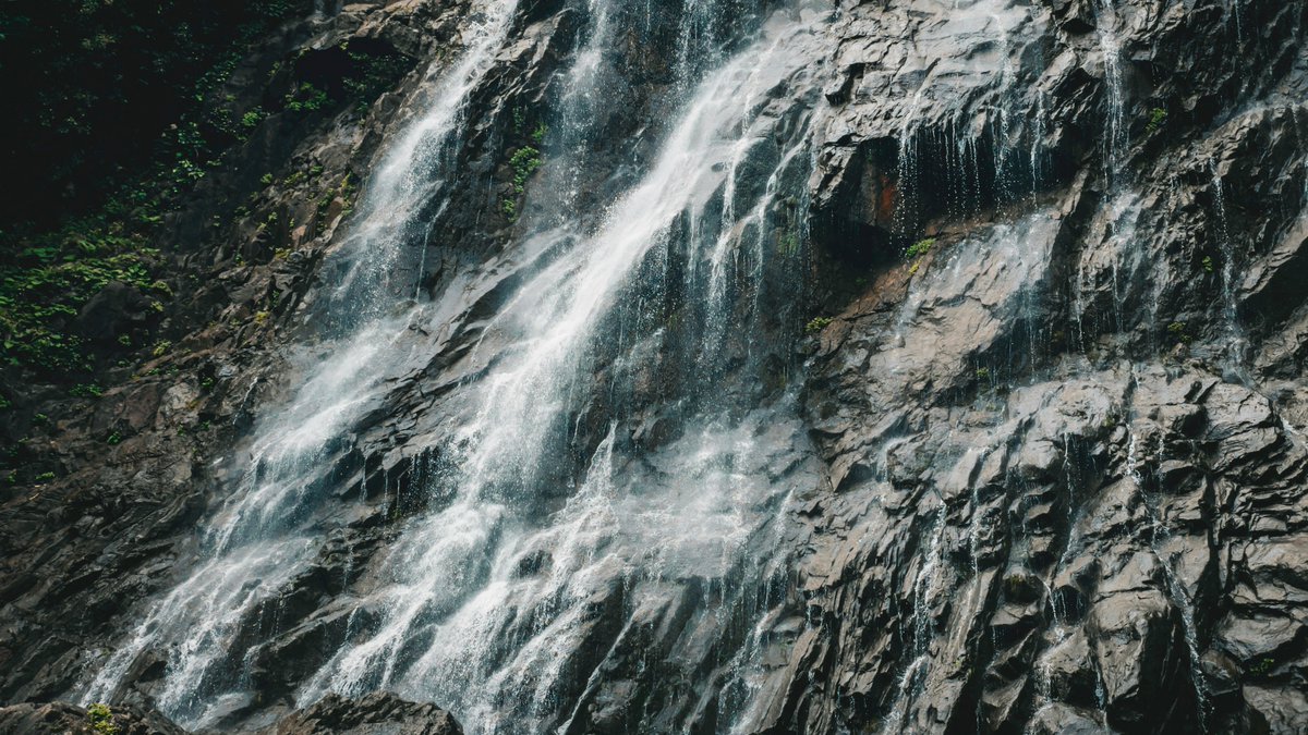 dylan liddle tweet media