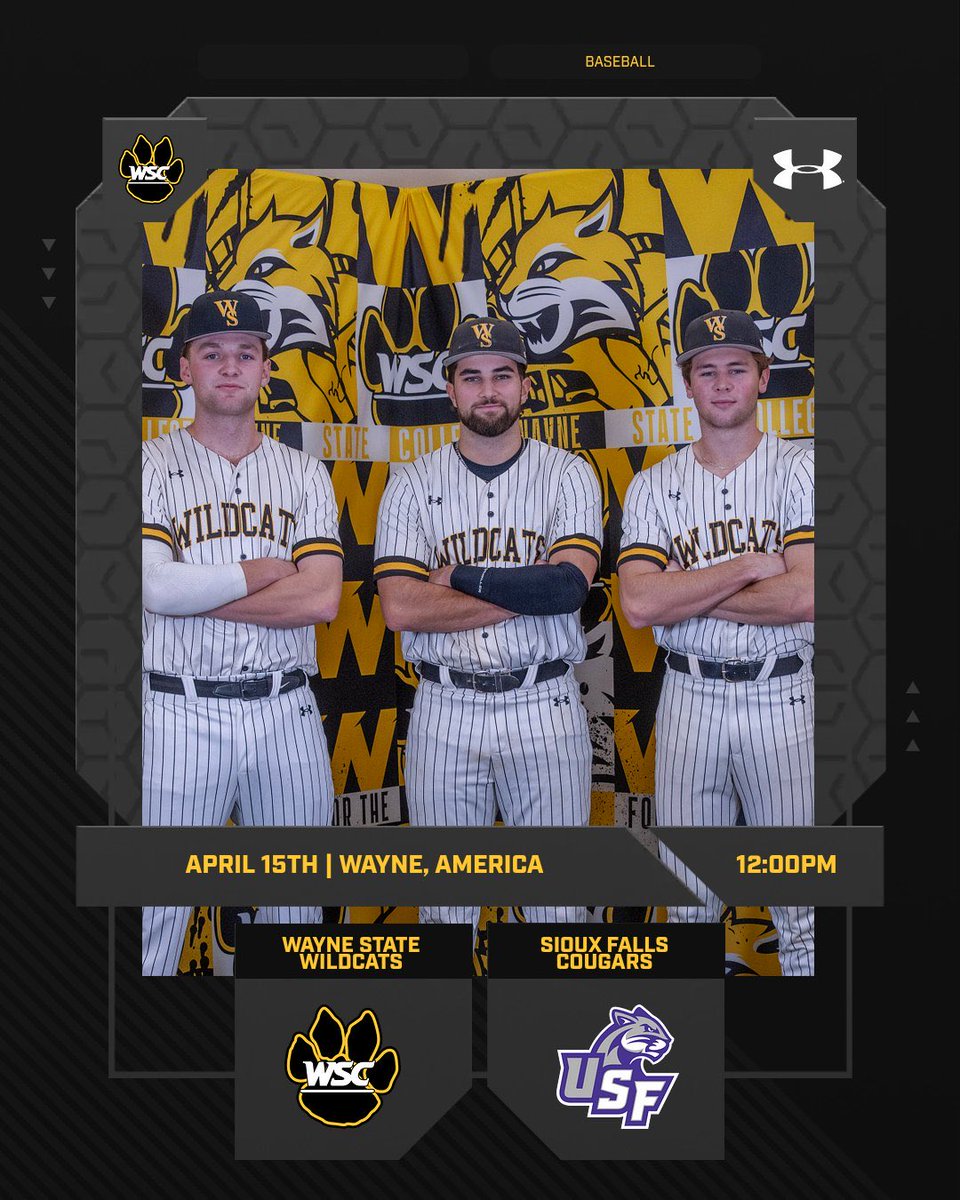 Wayne State Baseball tweet media