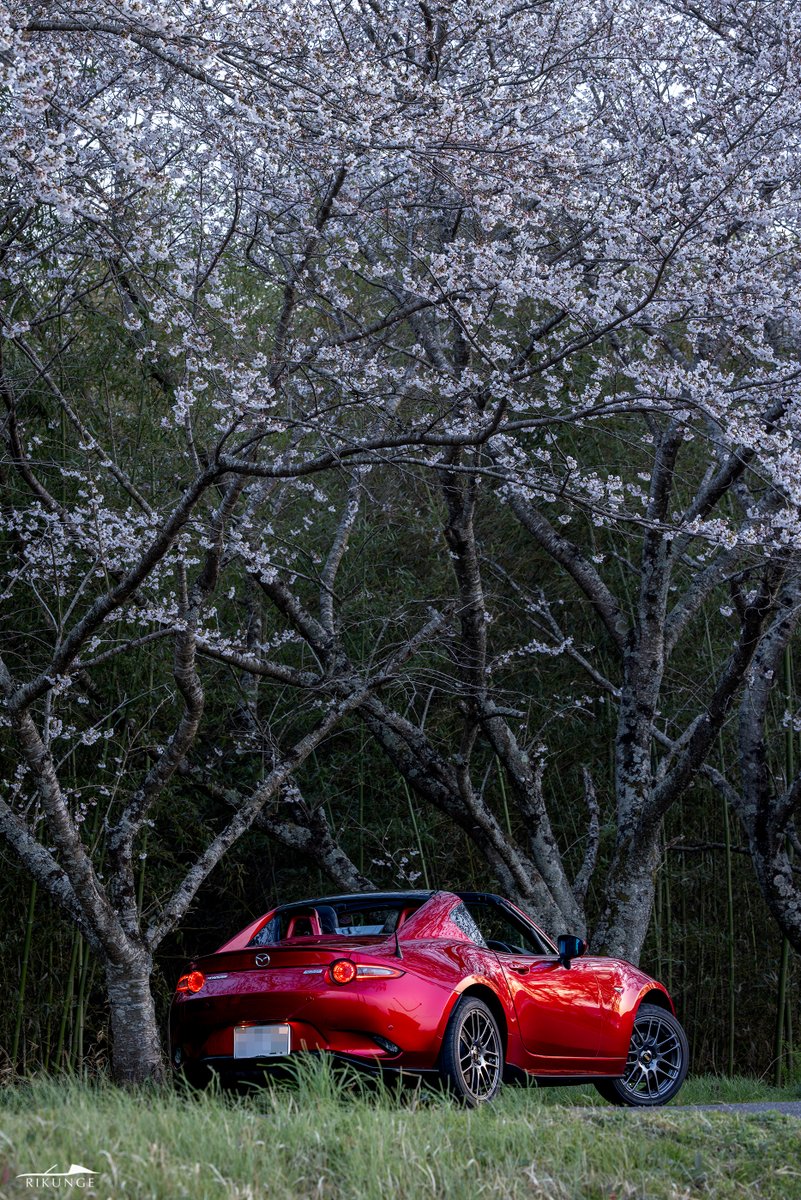 りくんげ tweet media