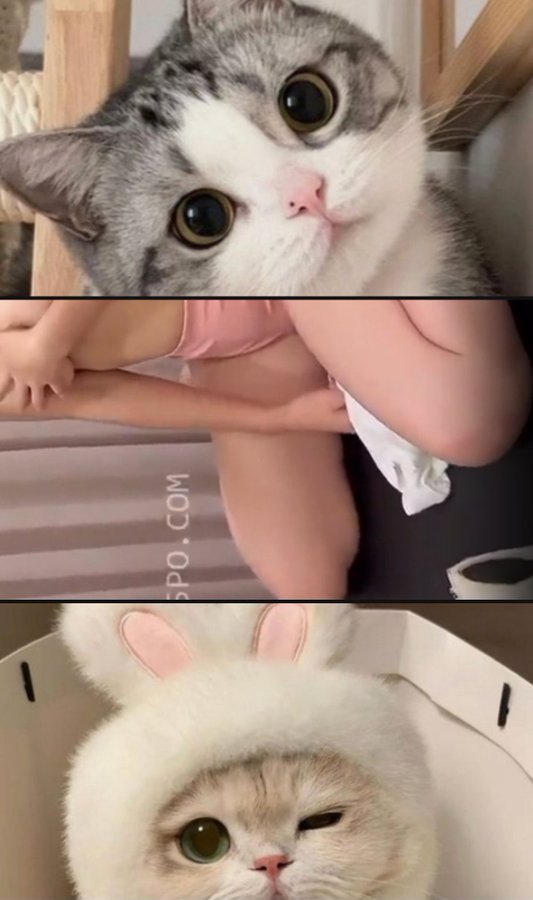 ぉちゃん tweet media