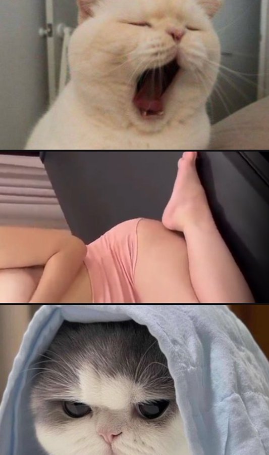 ぉちゃん tweet media