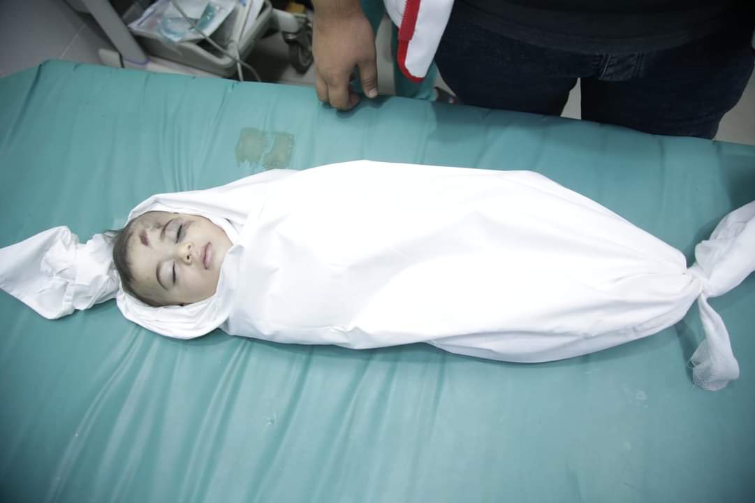 Sameh Ahmed 𓂆 🇵🇸 tweet media