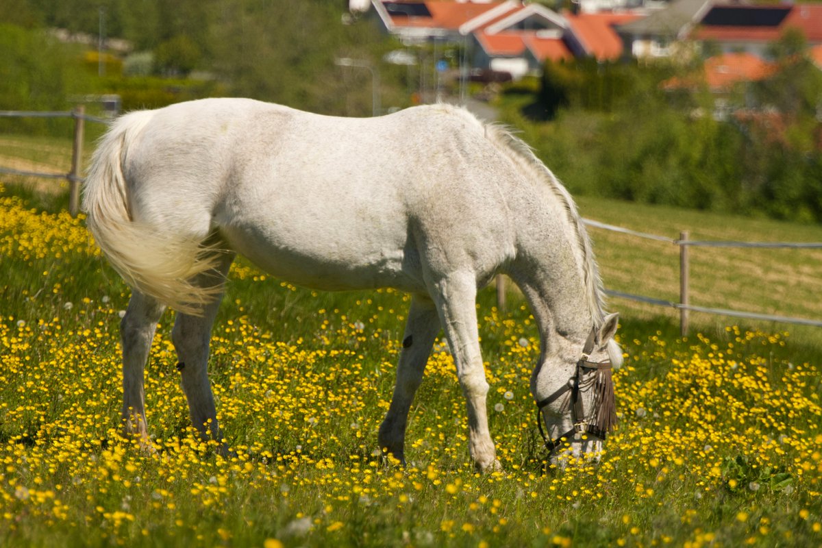 rumbo🔆 tweet media