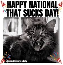 TCMaeLynn tweet media