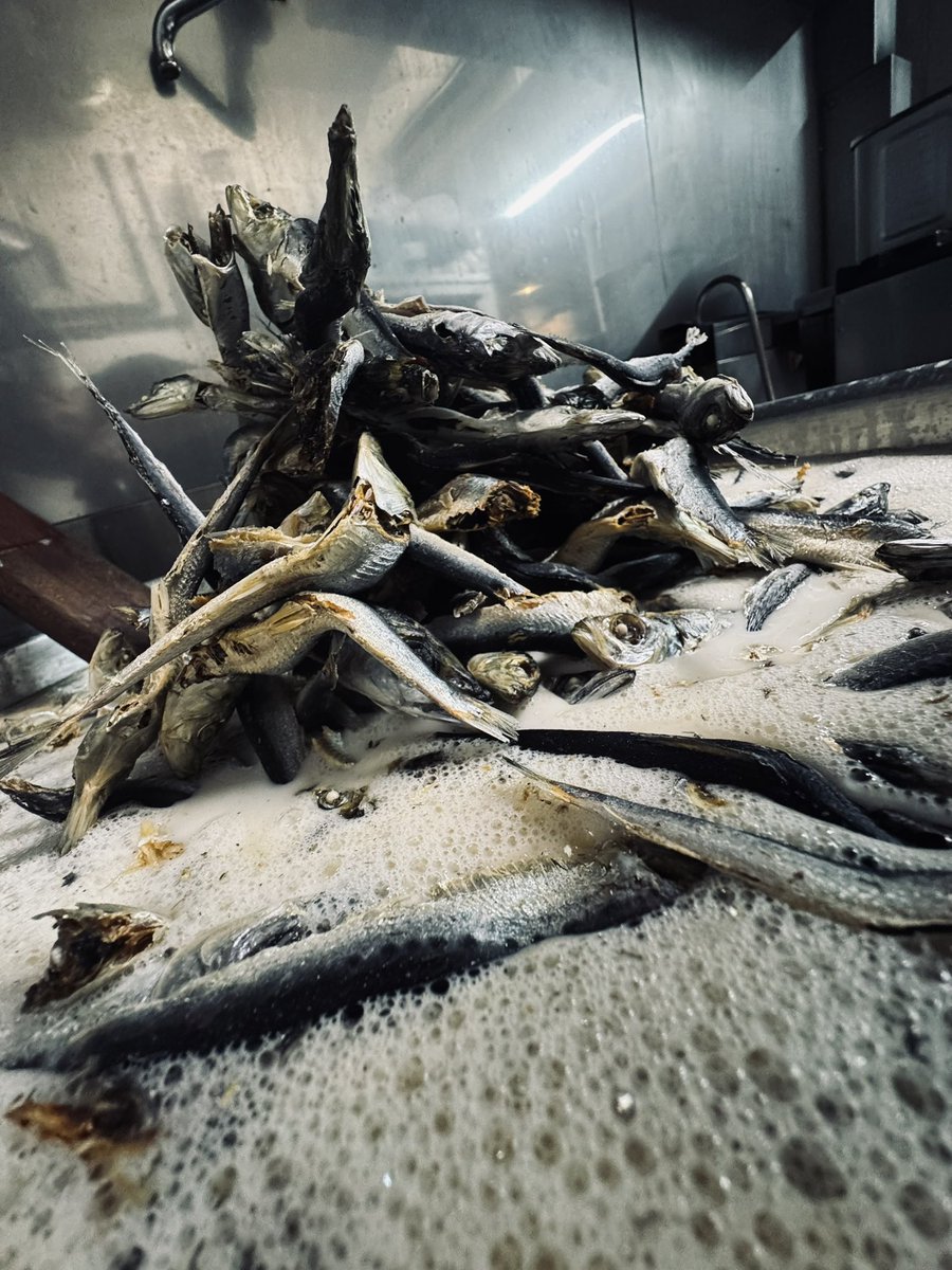 明日4/16(木)昼営業のメニューです。

【煮干蕎麦】
・伊吹と黒鯵煮干ソバ(伊吹島沖産いりこ、境港黒鯵煮干)
・【数量限定】ニラとホタテ白子の濃厚(ニラ、ホタテ白子真子×伊吹黒鯵)※手揉み10番
・【25食程】アイスディッピングニボプレッソ(いりこ出汁×冷たい濃厚煮干つけソバ)※ゆめちから平打ち