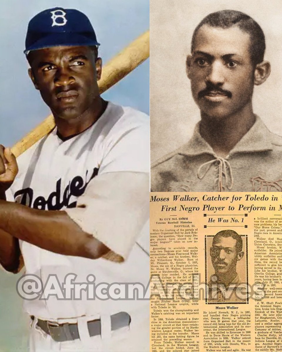 AFRICAN & BLACK HISTORY tweet media