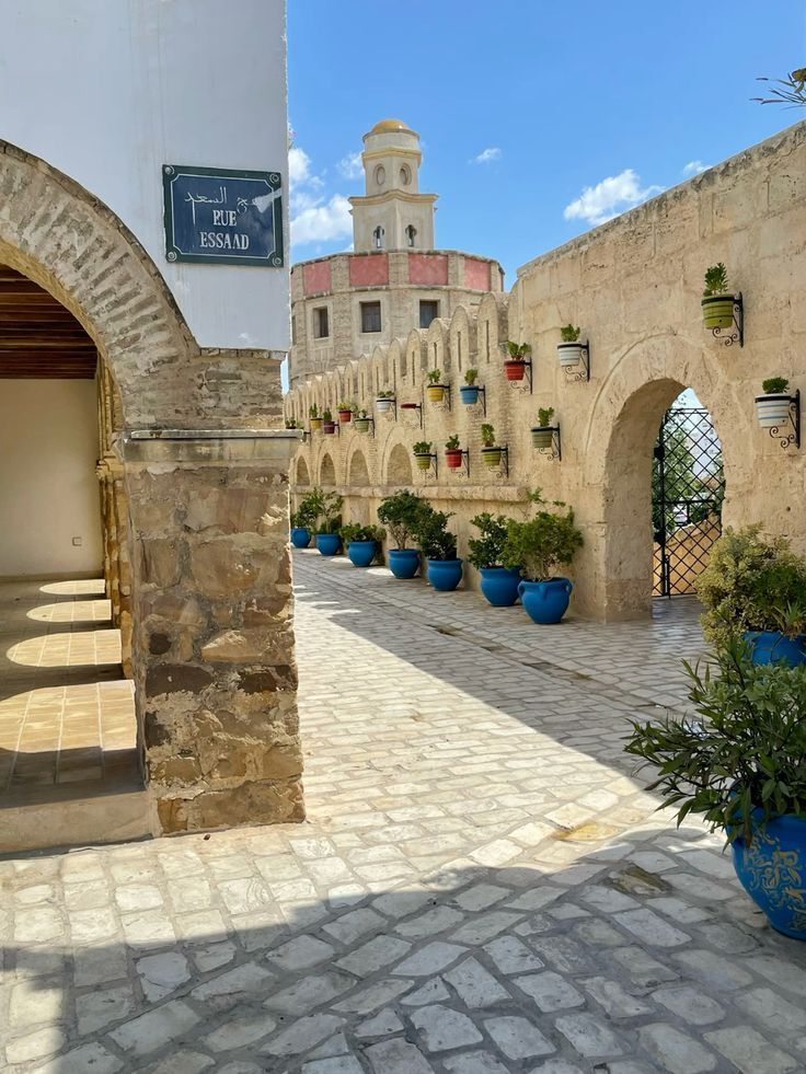 MozartCultures tweet media