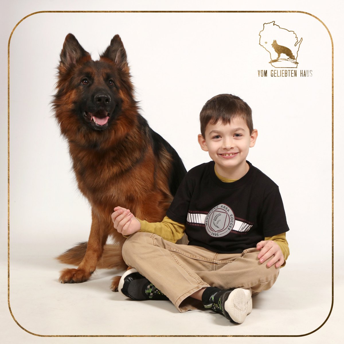 GeliebtenHaus's tweet image. Old type vs modern type German Shepherds — separating myth from fact about structure, function, and breed evolution. A must-read for owners and breeders: wix.to/qfp3MJe #GermanShepherd #DogTwitter #BreedEvolution