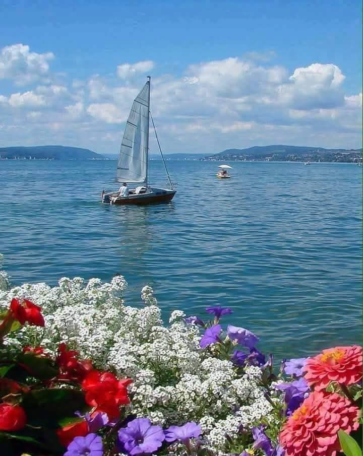 Stravoxilo's tweet photo. "Πιστεύω πως τίποτα δεν τελειώνει.
Πως τίποτα δεν αρχίζει.
Μοιάζει πως τελειώνει.
Μοιάζει πως αρχίζει. 
Στην πραγματικότητα..
Όλα ξαναβρίσκουν το δρόμο τους.
Όλα κάποτε ισορροπούν.
Μεταμορφώνονται και ισορροπούν.
Ισορροπούν και γαληνεύουν.
Όπως η θάλασσα."

~Κ. Μουρσελάς~ https://t.co/qAoyrV3xOI