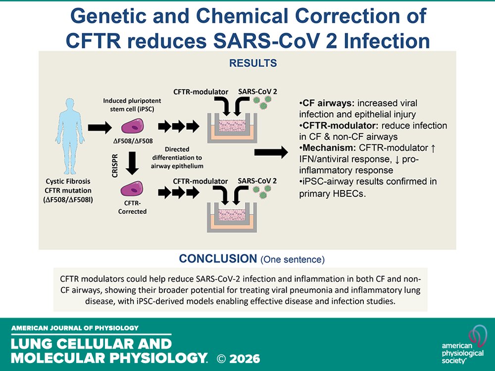 AJPLung's tweet image. Research Article by SD Rollins et al. (@BostonChildrensHospital @harvardmed @BUMedicine @UNC_SOM @KECKSchool_USC) Genetic and chemical correction of #cysticfibrosis reduces #airway susceptibility to #SARSCoV2
ow.ly/ZG8o50Yy5hG