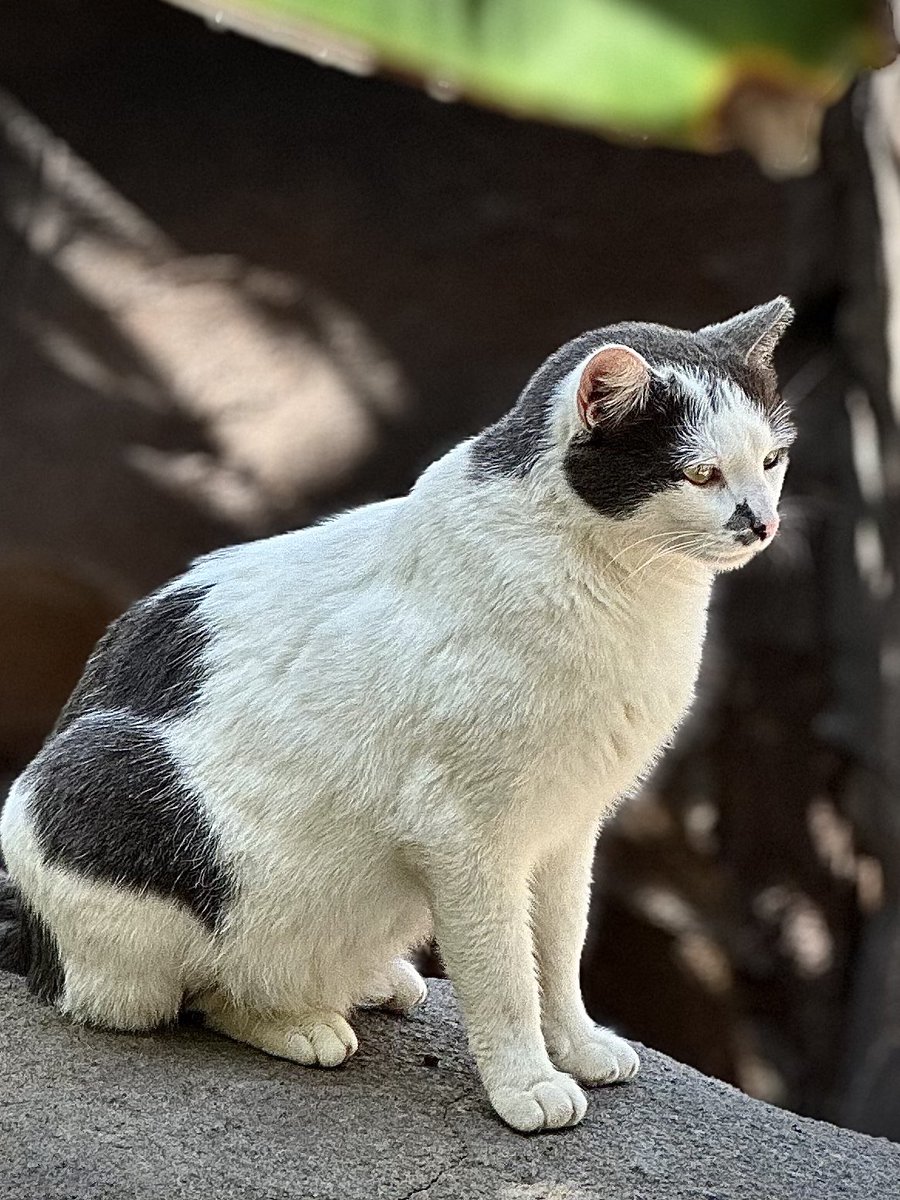 AllAboutTheButterfly Ƹ̵̡Ӝ̵̨̄Ʒ~ Y. tweet media