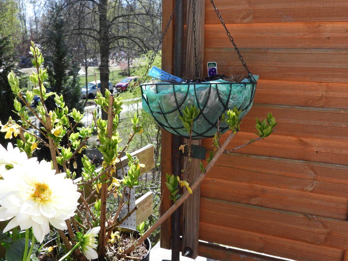 Anjuschka Prenzel tweet media