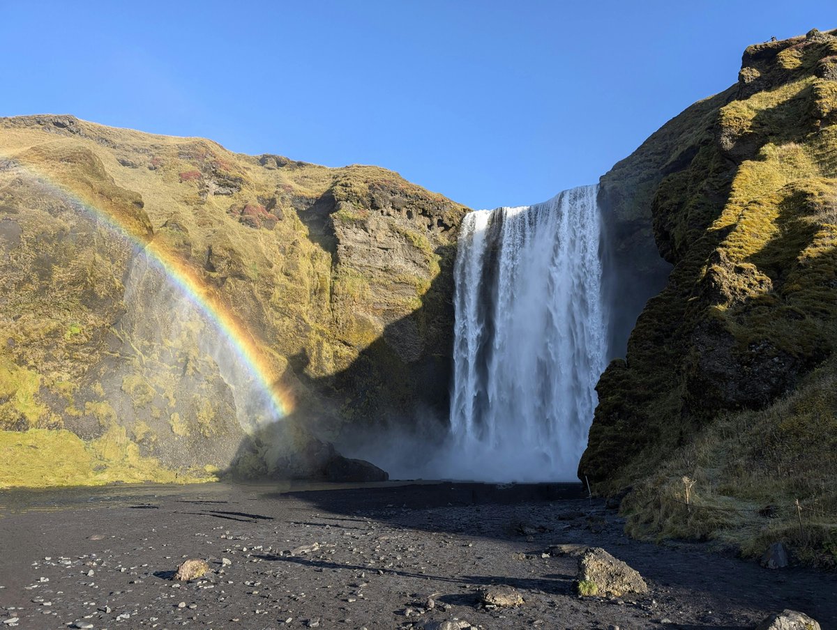 Tavo ovando tweet media