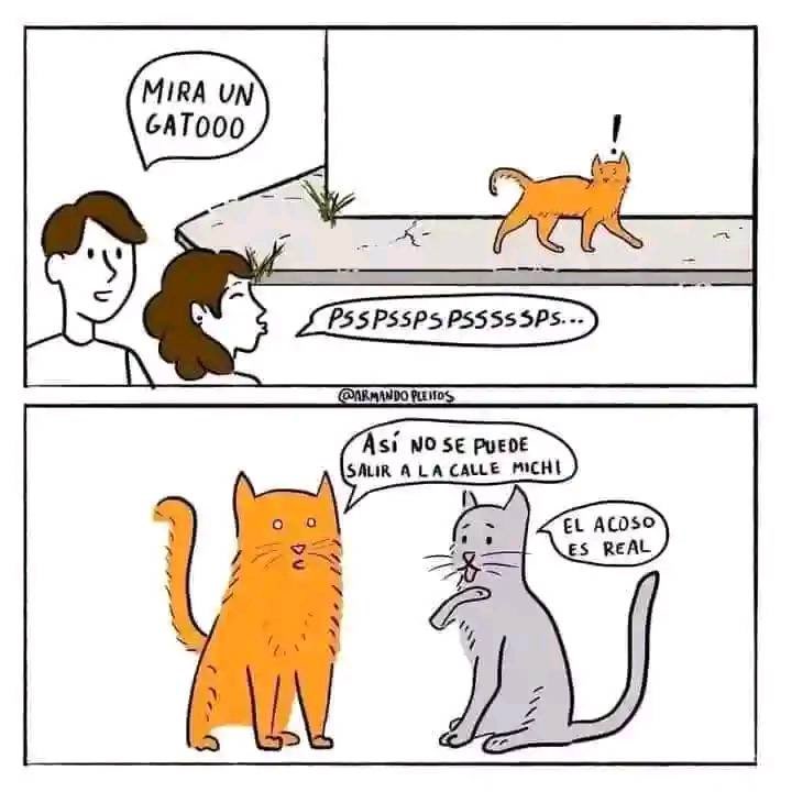ymuchosmemes's tweet photo. Llevo toda la vida acosando gatitos y no lo sabía https://t.co/bHsXbPMo9n