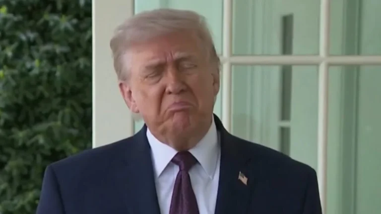 teleSUR English tweet media