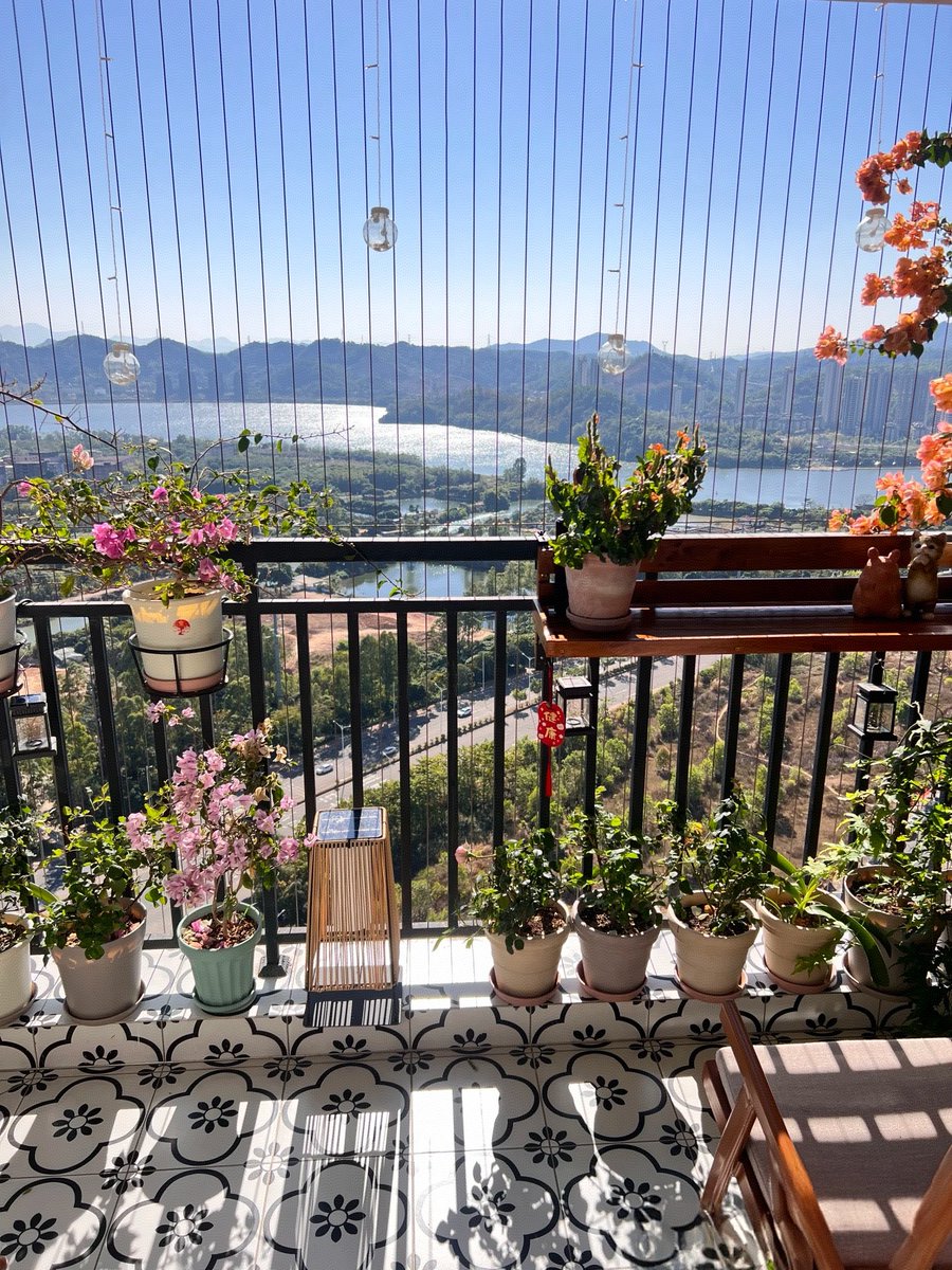 榊原愛梛 tweet media