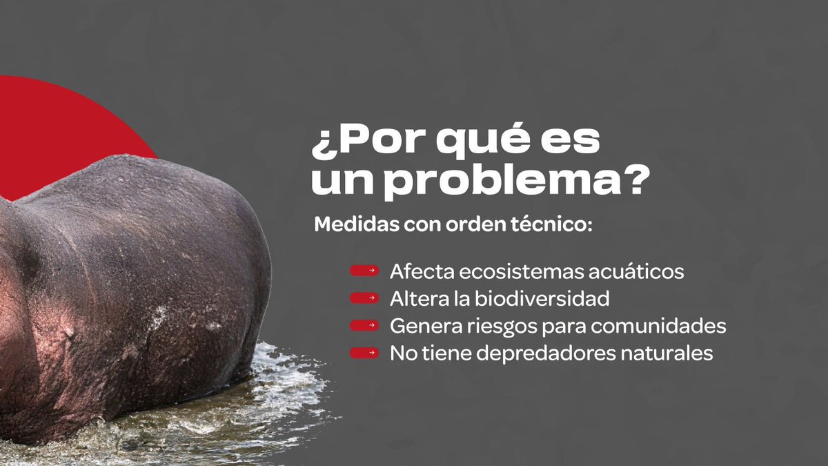 MinAmbiente Colombia tweet media