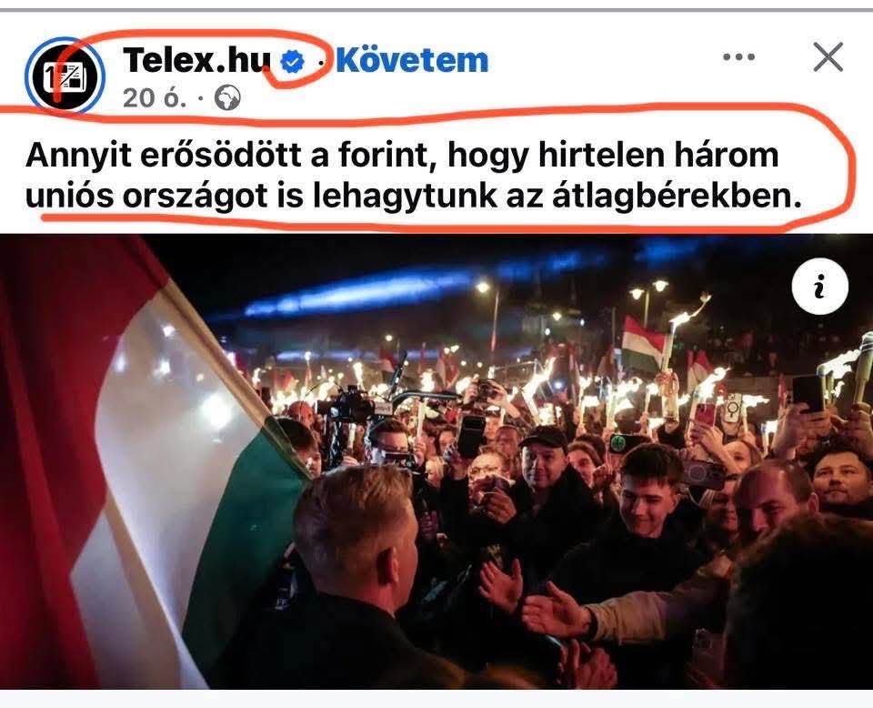 Tibor P. Tibor tweet media