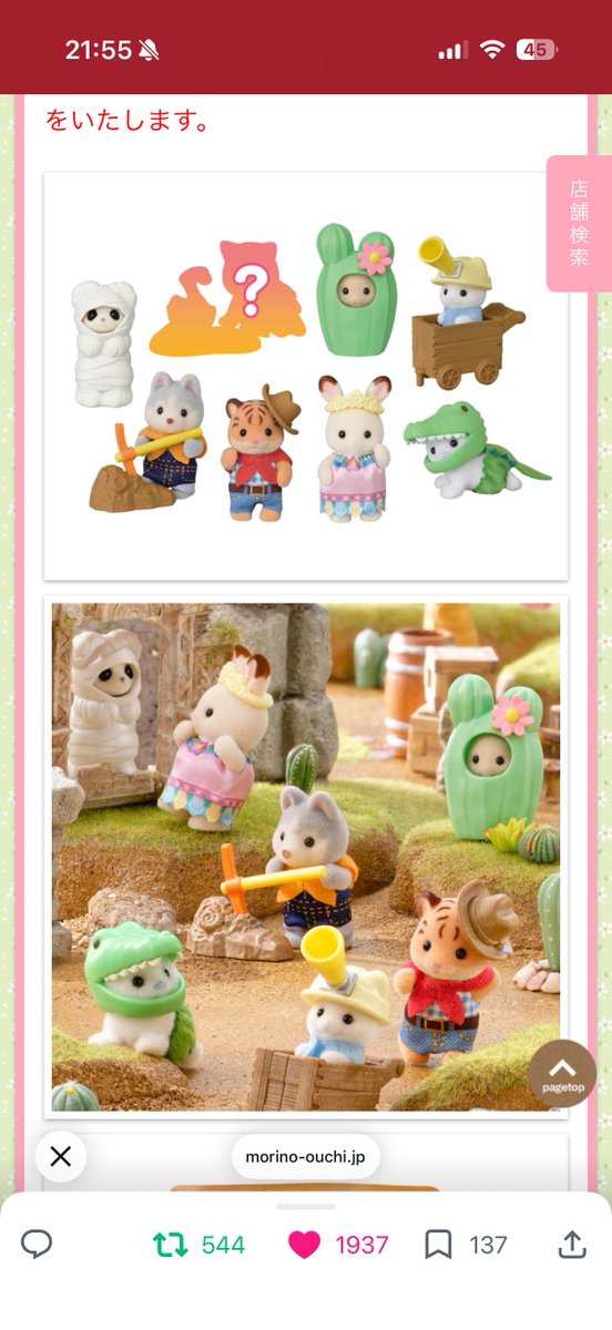 ガラパゴスドンナ・ジャック tweet media