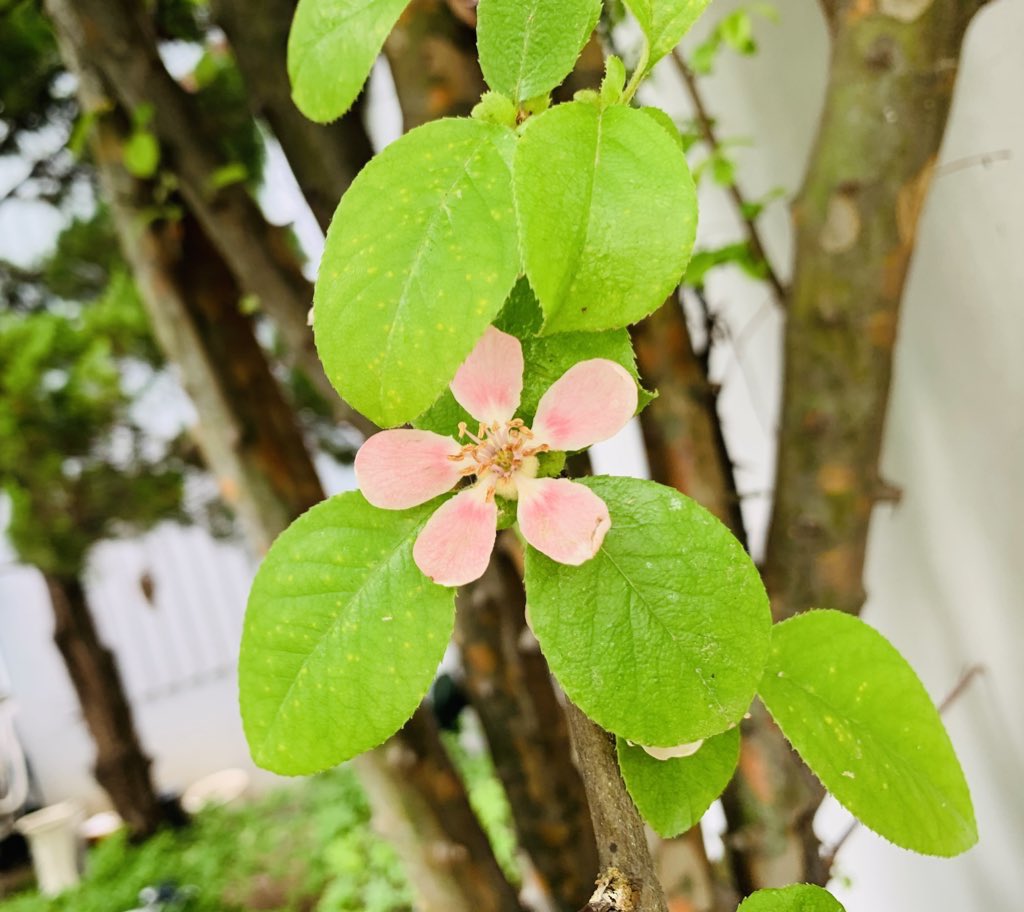 김희숙 tweet media