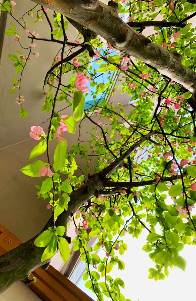 김희숙 tweet media