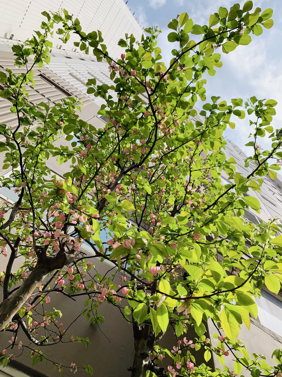 김희숙 tweet media