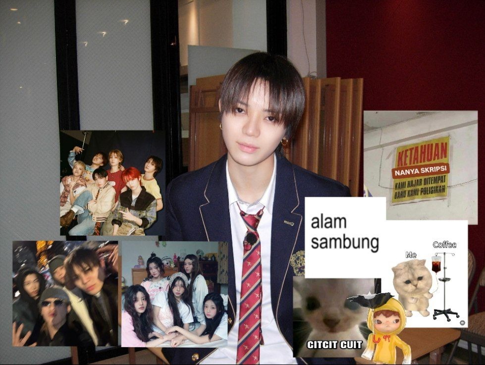 Evergreen Corner. tweet media