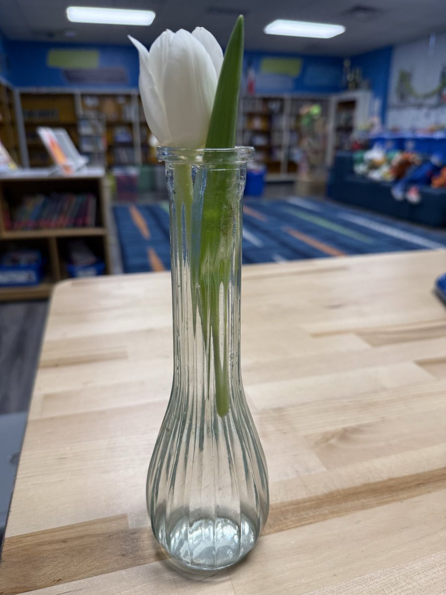SMCLAbookden's tweet photo. A beautiful sweet start to my day.  “For you Ms. Hullett” @DISD_Libraries @ProjectReadDISD @CREWatDISD @SMCLAbookden https://t.co/KDLQouYWs6