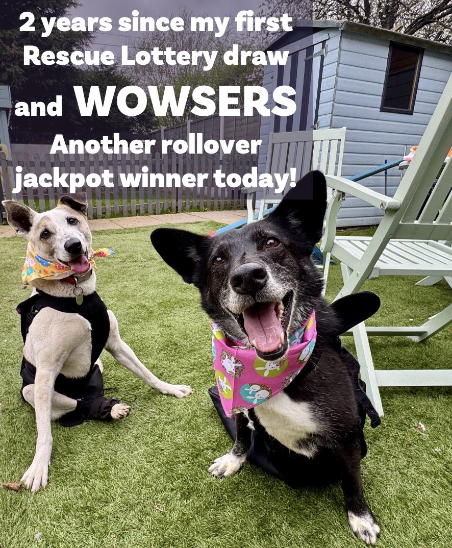 Good afternoon ladies and gentlemen. Two years ago was my first ever Rescue Lottery draw. And today we have a £25,000 rollover jackpot winner! 🥳🥳

The Rescue Lottery has helped to build Phase 2 at Rescue World and we shall soon be opening the doors! 😃 Helping more frightened