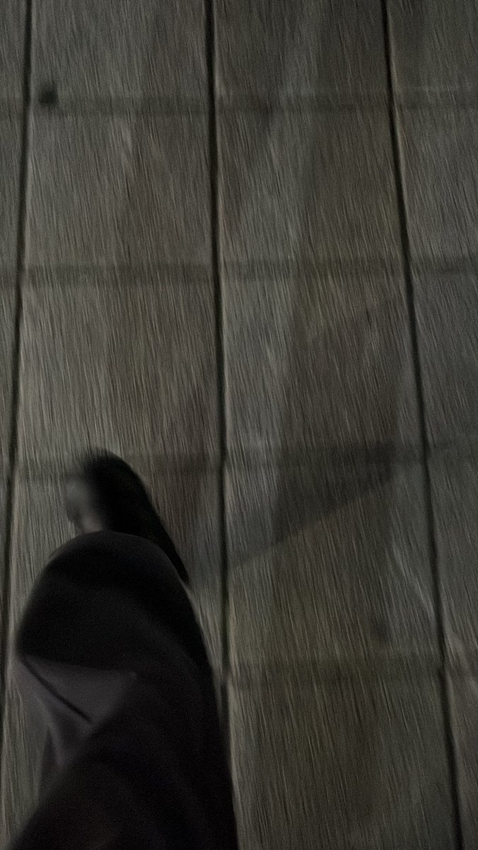 카가미네 쓰누 tweet media