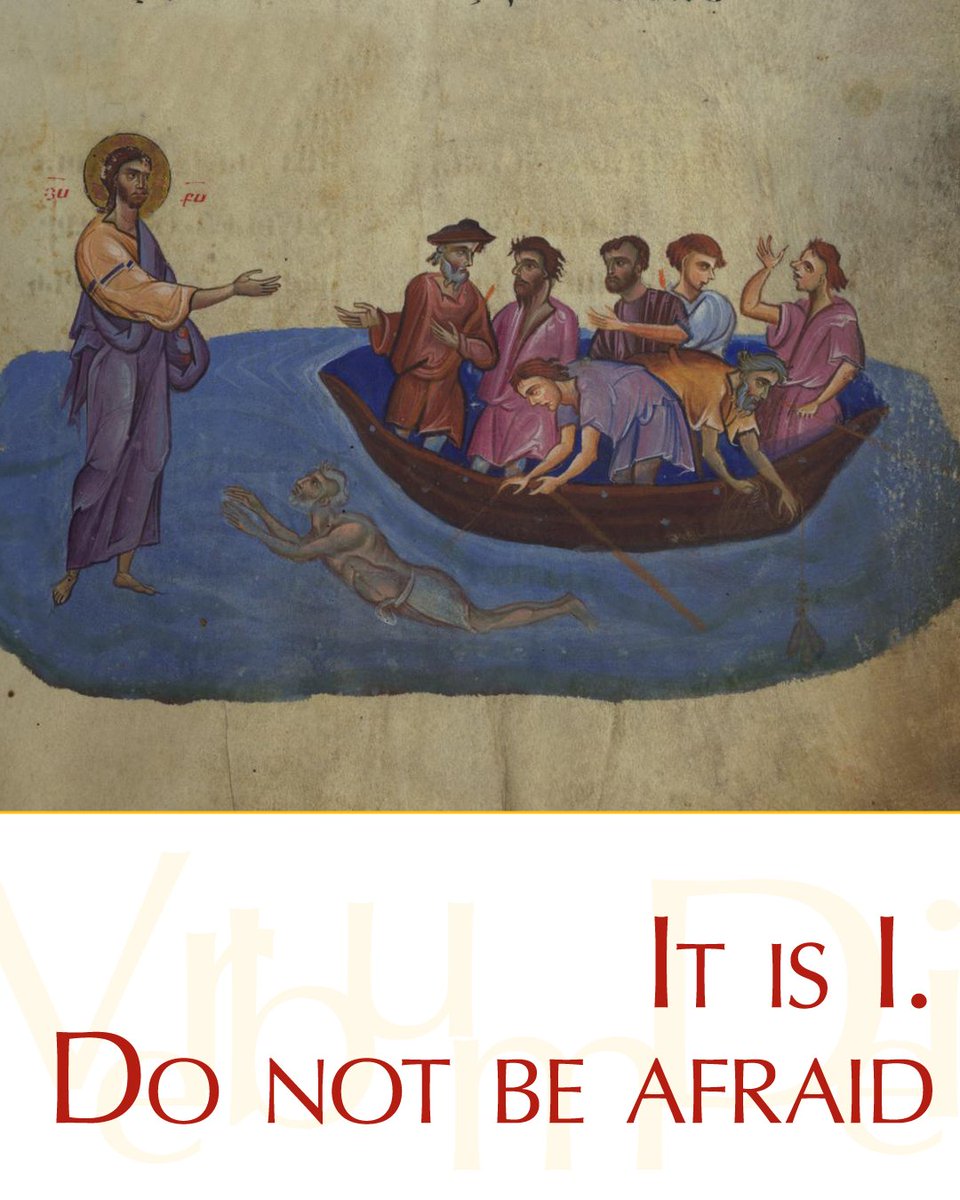 Vatican News tweet media