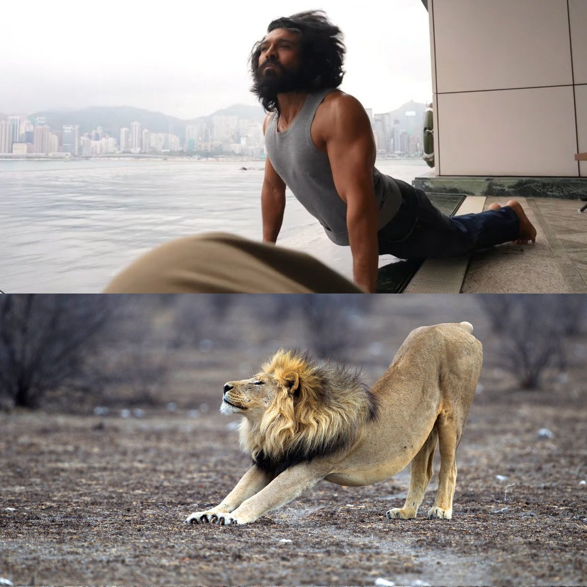 Perfect Wala tweet media