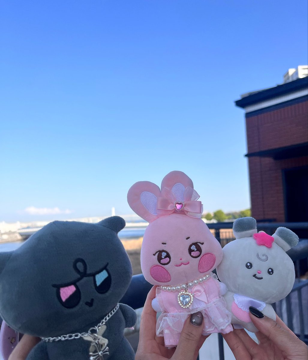 💖ヤバ핑💖 tweet media