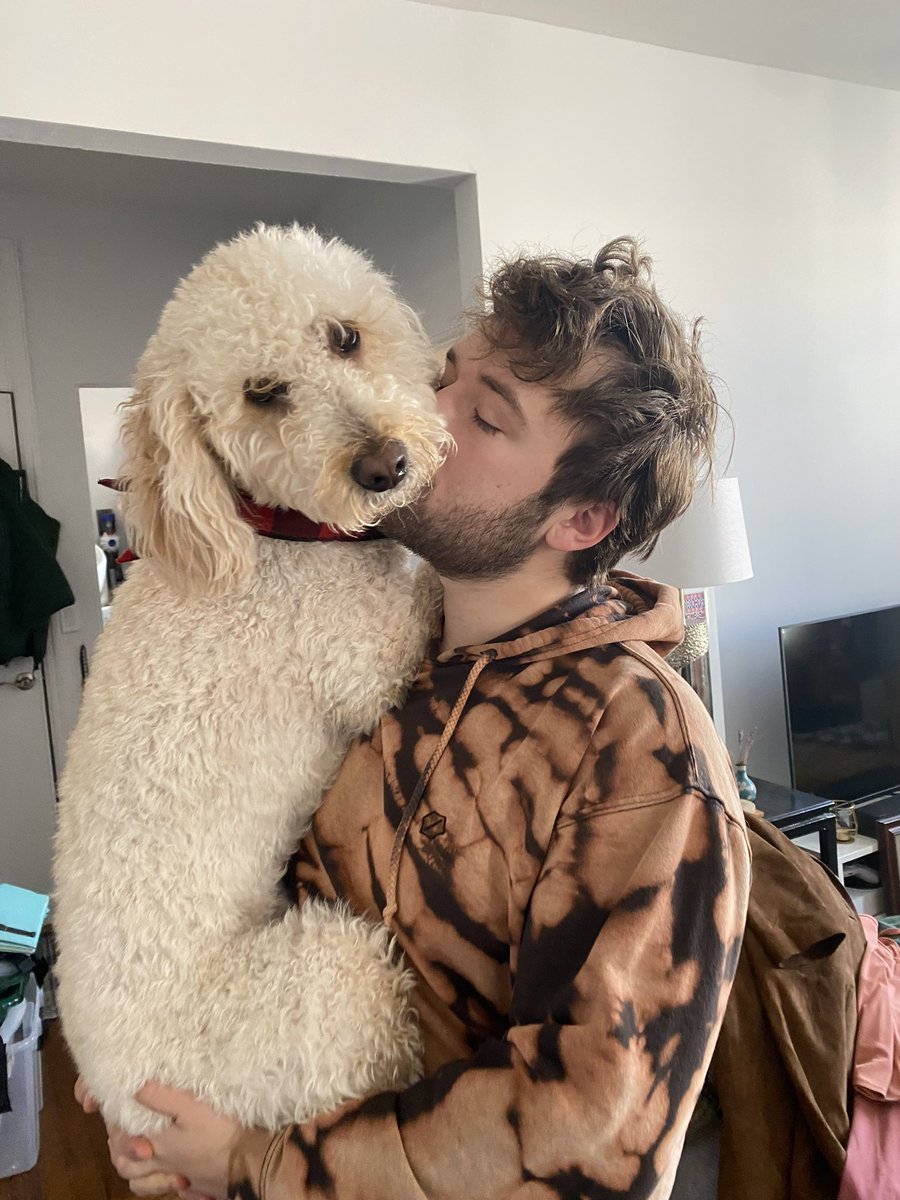 Alex Carr tweet media