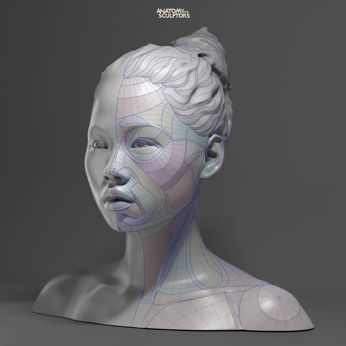 Anatomy For Sculptors tweet media