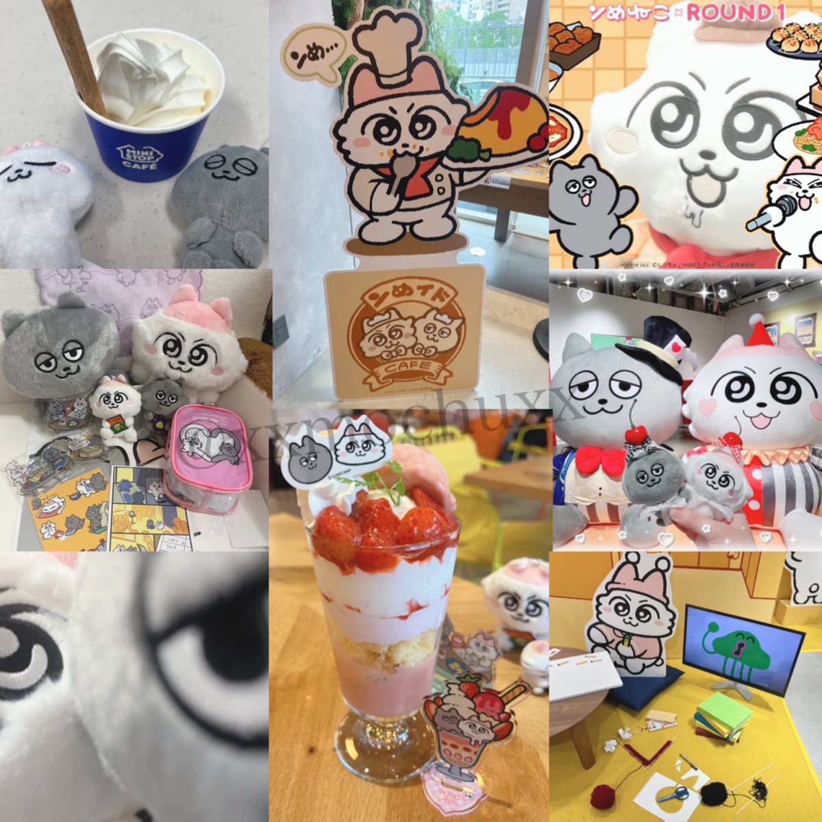 🦕(もちゅ) tweet media