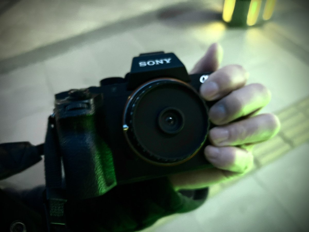 メガ@写真 tweet media