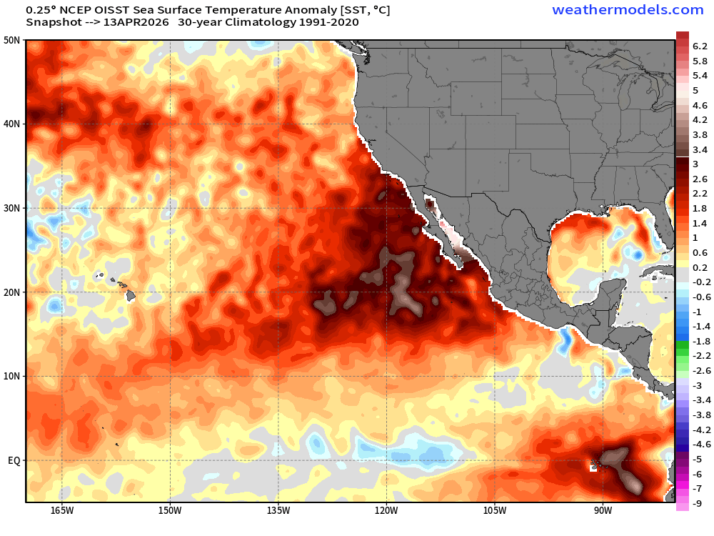 Andy Hazelton tweet media