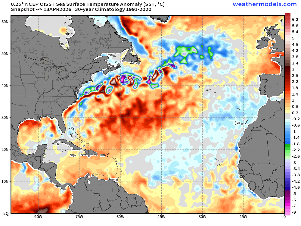 Andy Hazelton tweet media