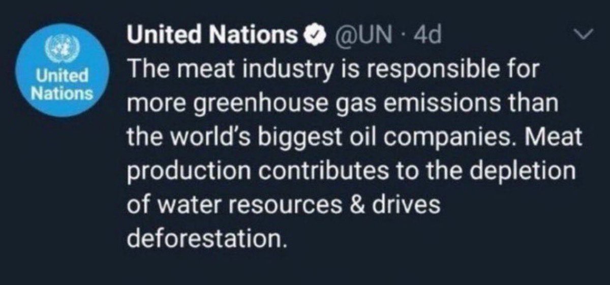 ScienceTweets26's tweet image. According to the UN, the #meat industry is an even greater threat to the planet than the world’s largest oil companies.  It also leads to the loss of biodiversity, and is the number one cause of #deforestation 

#ClimateChange #ClimateCrisis #Vegan #ClimateAction