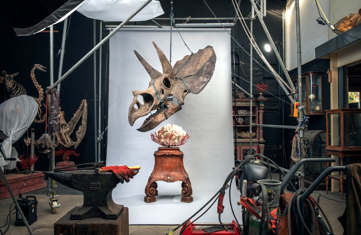 ArtsTalkMaga's tweet image. Our first visit to the incredible @ArtZooMuseum in Amsterdam was to see the new exhibition #RELICS. Read our review here artstalkmagazine.substack.com/p/relics-at-ar…