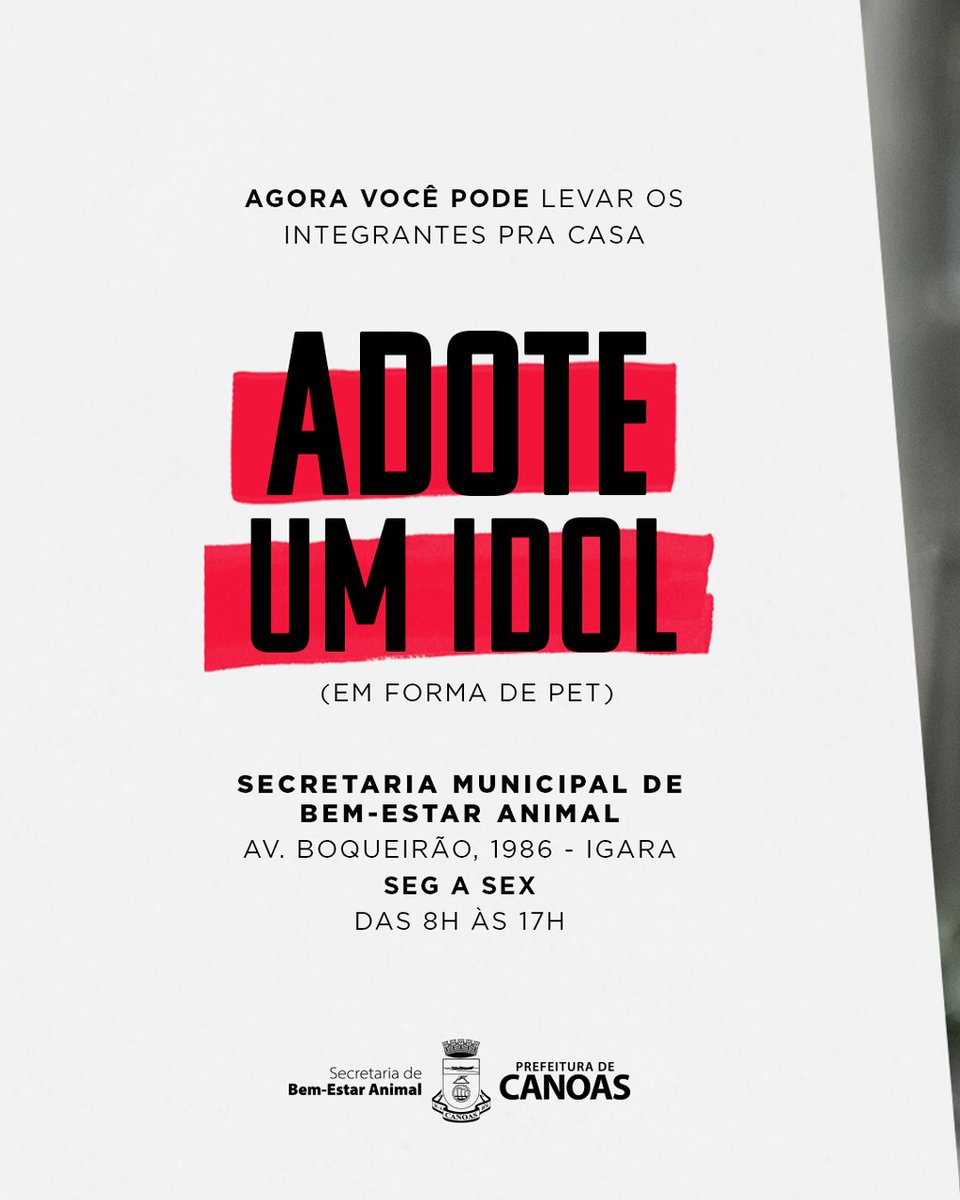 ADOTE UM IDOL EM FORMA DE PET 💜

🐾 A campanha de adoção ganhou um toque especial, com animais representando os integrantes do BTS. Cada pet carrega uma personalidade única, pronta para conquistar um novo lar

📍 Secretaria de Bem-Estar Animal - Av. Boqueirão, 1986