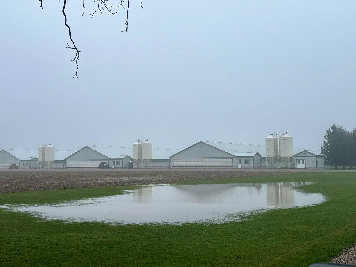 Mark McLean tweet media