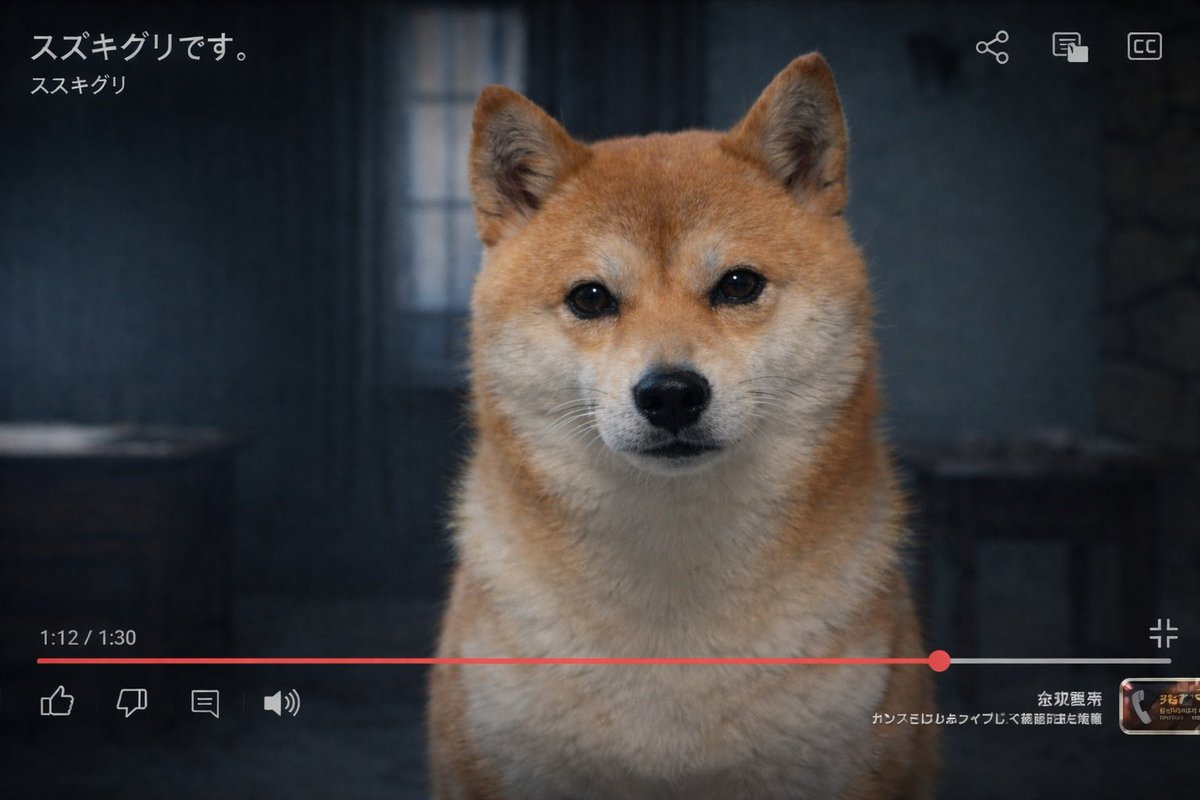 豆柴ぐり tweet media